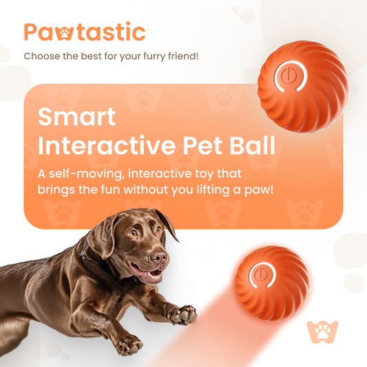 Pawtastic™ Smart Interactive Pet Ball